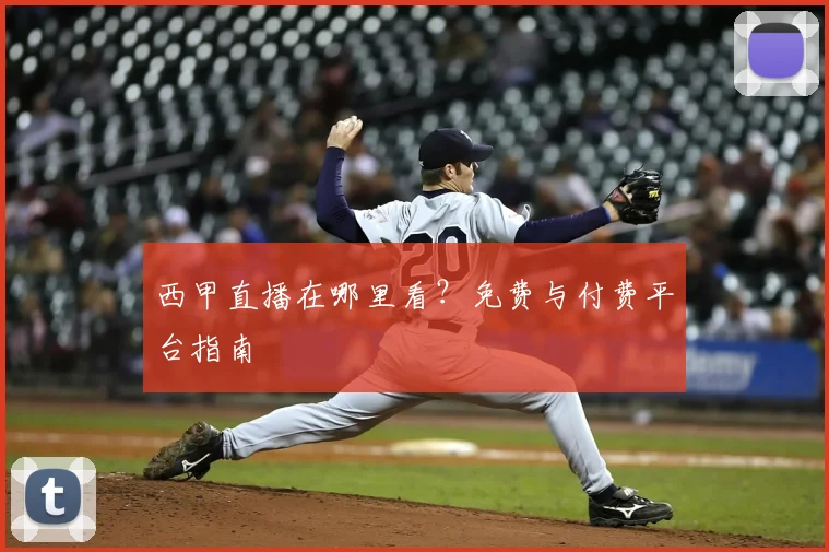 西甲直播在哪里看？免费与付费平台指南